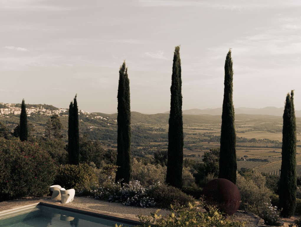 Tuscan Landscape hidden behind Cypress Trees (2024)